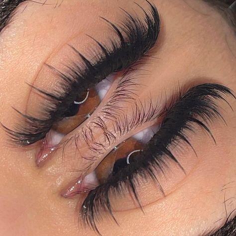 Lash Extensions Styles Wispy Cat Eye, Lashes Wispy Cat Eye, Wispy Set, Soft Cat Eye Lashes, Wispy Cat Eye, Fluffy Cat Eye Hybrid Lash Extensions, Whisky Cat Eye Lashes, Wispy Cat Eye Lash Extensions, Wispy Hybrid Cat Eye