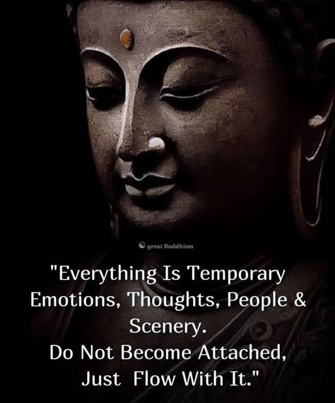 Universe Knowledge, Stark Quote, Life Quotes Relationships, Buddha Thoughts, Buddha Wisdom, Buddha Quotes Life, Bollywood Quotes, Life Choices Quotes, Zen Quotes