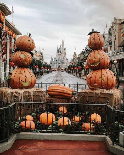 all the halloween/autumn feels 🎃👻🍁😭 Disneyland Halloween, Autumn Magic, Halloween Autumn, Halloween Aesthetic, Disney Aesthetic, Pinturas Disney, Fall Feels, Halloween Backgrounds, Fall Pictures