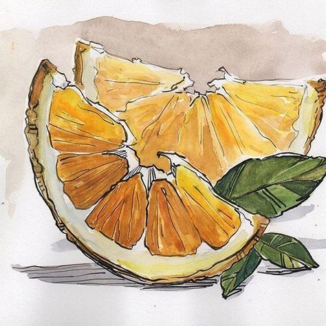 Orange Watercolor, Watercolor Fruit, Hur Man Målar, Fruit Painting, 수채화 그림, Watercolor Art Lessons, Arte Sketchbook, Fruit Art, Watercolor Sketch