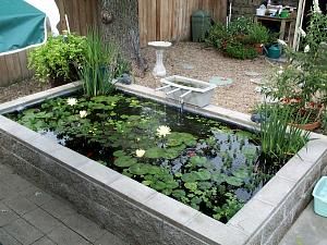 Pond Garden Ideas, Raised Pond, Koi Pond Design, Fish Pond Gardens, Kolam Koi, Taman Air, Pond Garden, Garden Pond Design, Diy Pond