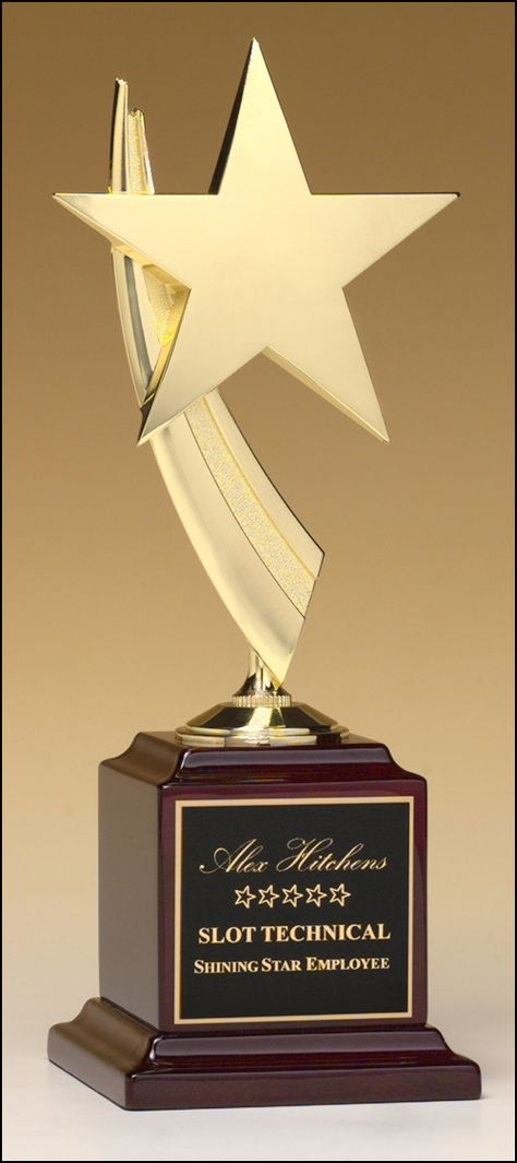 Airflyte Recognition Awards Products Trophy Craft, Trophy Display, Award Plaques, Glass Awards, Award Display, Acrylic Awards, Award Plaque, Stage Set Design, Custom Awards