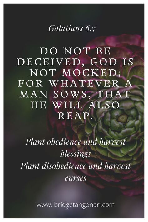 Law Of Sowing And Reaping, Reaping What You Sow Quotes, Sowing And Reaping, Galatians 6 7, Unveiled Wife, Do Not Be Deceived, Reap What You Sow, Harvest Blessings, Proverbs 31 Woman