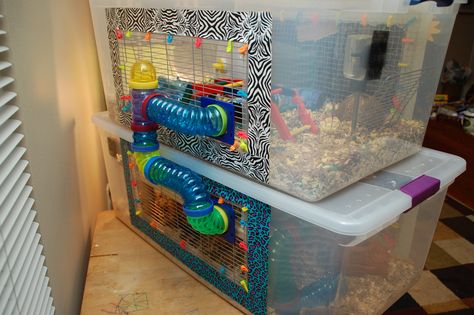 diy hamster cage, also there's video of hamster's reaction to the bew cage :) Hampster Cage, Diy Hamster Cage, Bin Cage, Kandang Hamster, Hamster Bin Cage, Hamster Diy Cage, Gerbil Cages, Diy Guinea Pig Cage, Mouse Cage