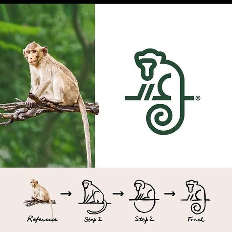 Monkey Logo Design, Logo Sketch Design, Behance Illustration, Ali Akbar, Monkey Logo, Minimal Graphic, Logo Branding Design, Inspiration Logo Design, Logo Sketches