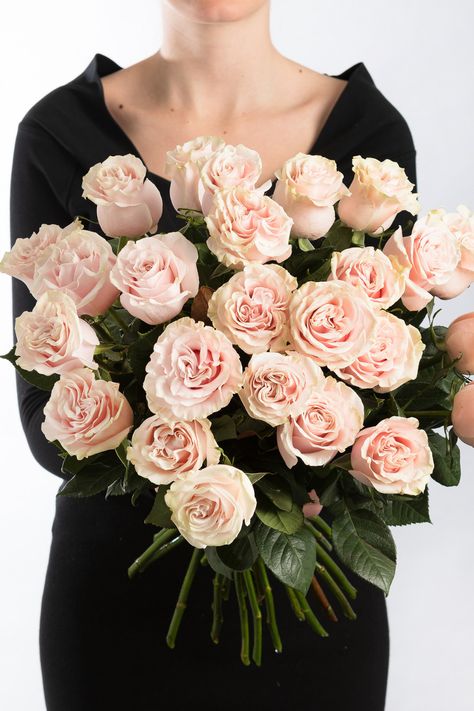 Pink Mondial roses Flowers Bouquet, Roses, Flowers, Pink