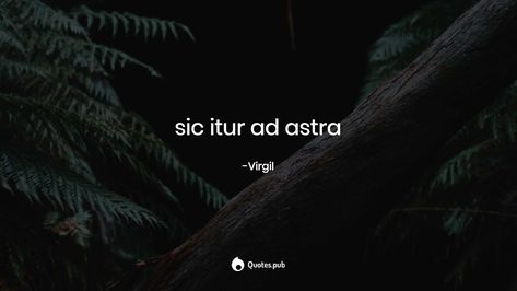 Ad Astra, Quotes, Quick Saves, Bonito