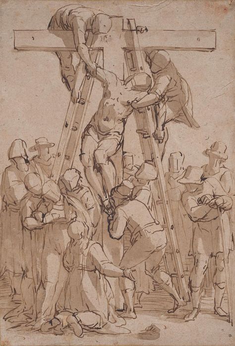 Descent from the Cross Luca Cambiaso, Descent From The Cross, Anatomy Sculpture, Master Drawing, Anatomy Sketches, Figure Sketching, Desenho Tattoo, Anatomy Drawing, Figure Drawing Reference