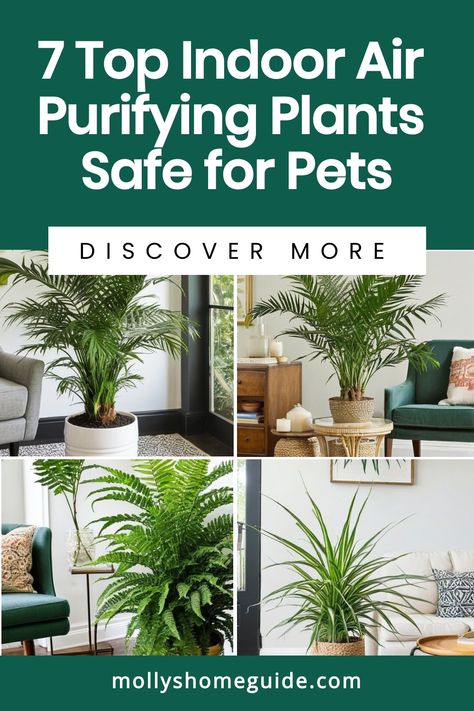 Looking to add some greenery to your home while keeping your pets safe? Check out these best indoor plants that are air purifiers and pet-friendly. These non-toxic houseplants are safe for dogs, cats, and kids. Create a healthier indoor environment with these pet-safe plants that help clean the air. Must-have indoor plants for any household looking to purify the air without compromising on the safety of pets and children. Nontoxic Plants For Cats, Cat Friendly Plants Indoor, Best Indoor Plants Air Purifier, Safe Plants For Cats, Plants Safe For Pets, Cat Safe House Plants, Dog Safe Plants, Safe House Plants, Cat Friendly Plants