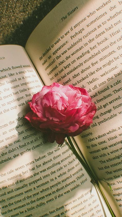 #reading #flower #aesthetic #retro Sunset Quotes Instagram, Aesthetic Reading, Aesthetic Rose, Sisters Photoshoot, Aesthetic Roses, Rosé Aesthetic, Color Aesthetic, Reading Aesthetic, Flower Wallpapers