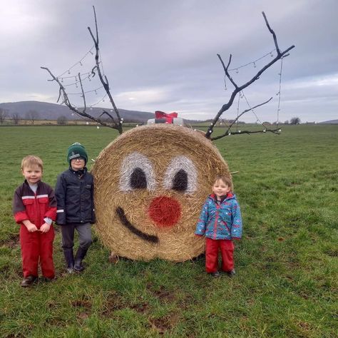 Santa Hay Bale, Haybale Christmas Decorations, Hay Christmas Decor, Haybale Decorating Christmas, Christmas Bales Hay, Reindeer Hay Bale, Haybale Christmas Ideas, Christmas Hay Bale Art, Round Bales Of Hay Decor