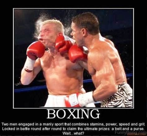 70 Boxing Memes For You Me For No Reason, Cartoon Memes, Boxing Gloves, Two Men, Memes Funny, Pose Reference, Boxing, Beautiful People, Funny Pictures