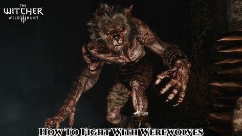 The Witcher Werewolf, Witcher Werewolf, Witcher 3 Wild Hunt, Open World, Witcher 3, Big Bad Wolf, Classic Monsters, Wild Hunt, The Witcher 3