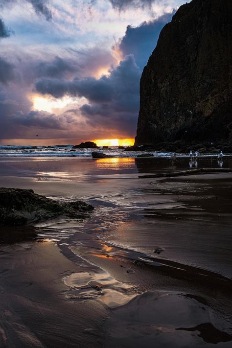 Oregon Aesthetic, Brookings Oregon, Ocean Art Painting, Seaside Oregon, Vista House, Oregon Life, Oregon Beaches, Cannon Beach Oregon, Galaxies Wallpaper