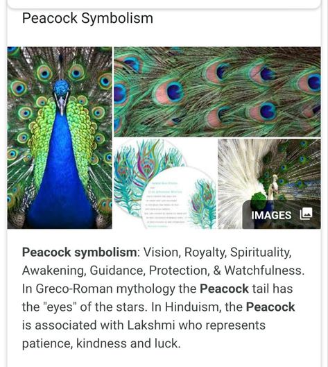 Peacock Symbolism Peacock Meaning Symbols, Peacock Spirit Animal, Peacock Tattoo Meaning, Peacock Spiritual Meaning, Peacock Feather Meaning, Peacock Meaning, Peacock Symbolism, Peacock Quotes, Peacock Symbol