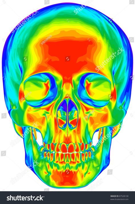 Thermal Image Human Skull Isolated On Stock Illustration 87528130 Thermal Image, Psychadelic Art, Human Skull, A Skull, Trippy Art, Art Collage Wall, Skull Art, Art Drawings Sketches, Art Reference Photos