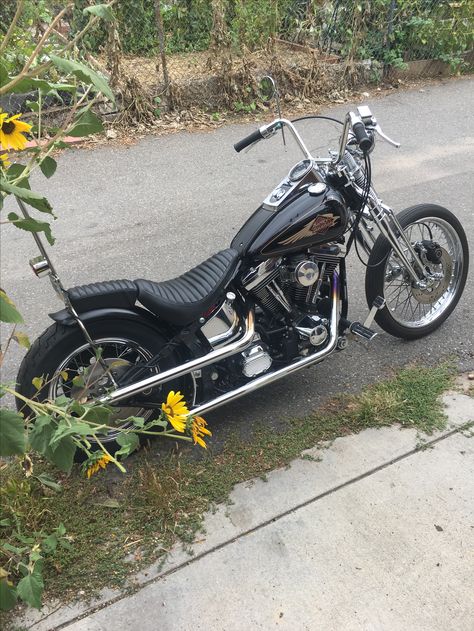 1998 FXSTS Evo Chopper, Softail Chopper, Softail Bobber, Custom Motorcycle Paint Jobs, Softail Springer, Motorcycle Paint Jobs, Softail Custom, Classic Harley Davidson, Harley Davidson Chopper