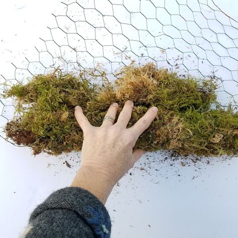 How to Use Moss as a Foam-Free Floral Mechanic Flower Mechanics, Floral Mechanics, Dry Floral Foam, Moss Wedding, Wedding Arbors, Sustainable Flowers, Flower Installation, Flower Spray, Chicken Wire