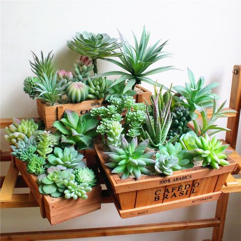 Cheap Artificial Plants, Buy Directly from China Suppliers:Artificial Succulent Landscape Lotus Flower Arrangement Christmas Wedding Party Supplies Fake Plants Home Garden Decoration Enjoy ✓Free Shipping Worldwide! ✓Limited Time Sale ✓Easy Return. Plant Wall Diy, Succulent Landscape, Plant Party, Succulent Bonsai, Succulent Landscaping, Fake Succulents, Mini Succulents, Artificial Succulents, Wedding Party Supplies