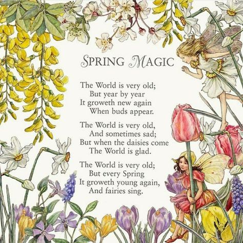 Spring Magic | Cicely Mary Barker | OfficialFlowerFairies Spring Equinox Aesthetic, Equinox Aesthetic, He Is Risen Craft, Spring Equinox Ritual, Nursery Rhymes Poems, Fairy Quotes, Spring Poem, First Flowers Of Spring, Spring Magic