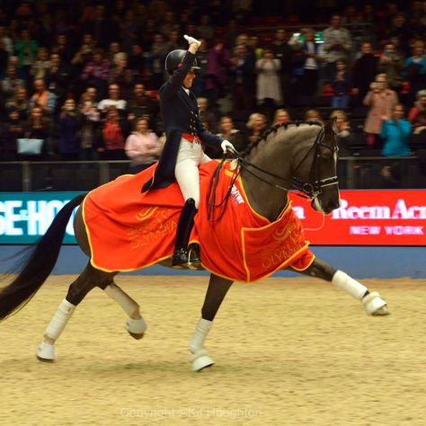 Valegro Sets New Record At Home At Olympia Valegro Horse, Charlotte Dujardin, Dressage Competition, White Lipstick, Making Movies, American Pharoah, Eventing Horses, Race Horses, Horse Face