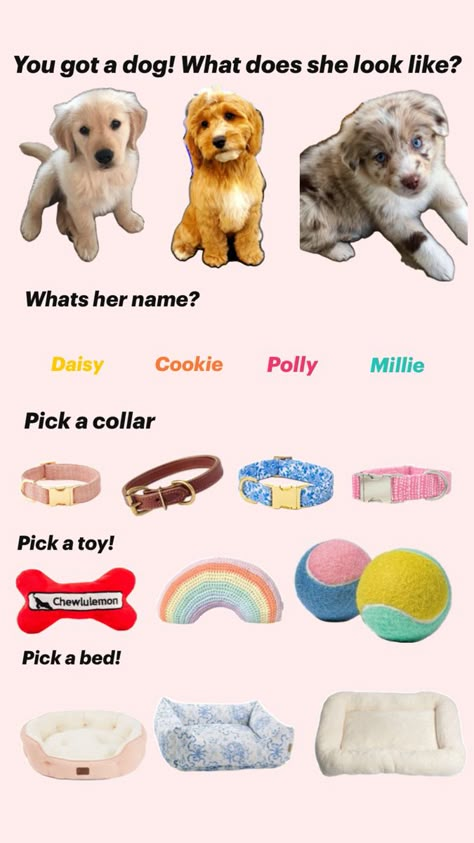 #cute #puppy #preppy #dogs Pick One From Each Row, Things To Do With Mom, Make A Gift Basket, Dog Supplies List, Puppy Items, New Puppy Checklist, Making A Gift Basket, Puppy Checklist, Preppy Dog