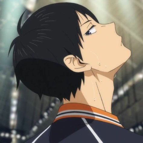 Volleyball Anime, Haikyuu Karasuno, Haikyuu Kageyama, Kageyama Tobio, Haikyuu Manga, Haikyuu Characters, Haikyuu Fanart, Stray Dogs Anime, Haikyuu Anime