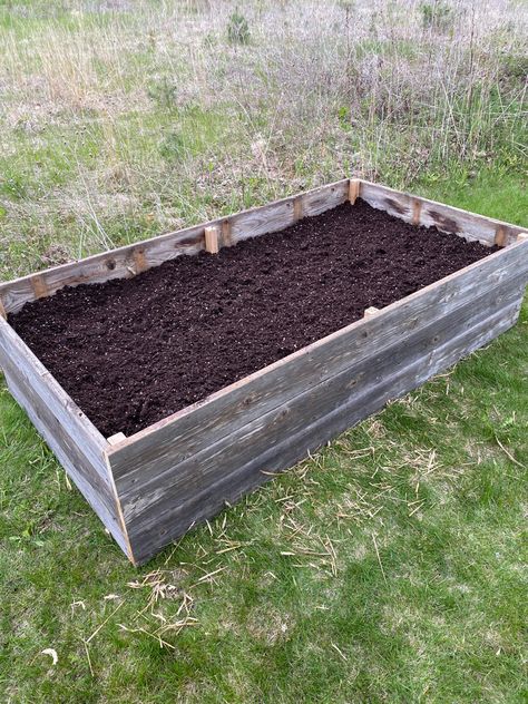 Old Deck Wood Projects, Repurpose Old Deck Wood, Repurposed Garden Beds, Repurposed Deck Boards, Repurpose Deck Boards, Easy Diy Raised Garden Bed, Growing Hacks, Redwood Deck, Bestie Photoshoot