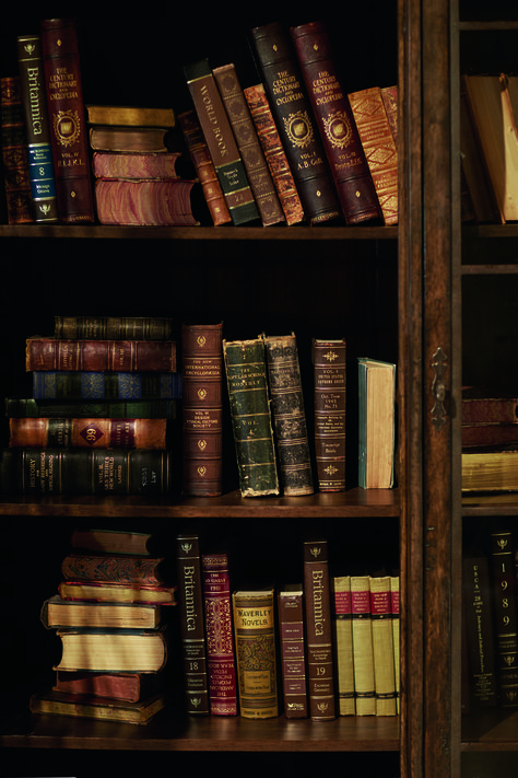 Zoom Wallpaper, Lots Of Books, Dark Acadamia, Dream Library, Library Aesthetic, Book Wallpaper, Dark Academia Aesthetic, Academia Aesthetic, Brown Aesthetic