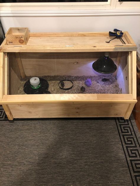 Quail Brooder Diy, Indoor Quail Coop, Brooder Box Ideas, Quail Brooder, Brooder Ideas, Quail Hutch, Lifestyle Block, Animal Farming, Button Quail