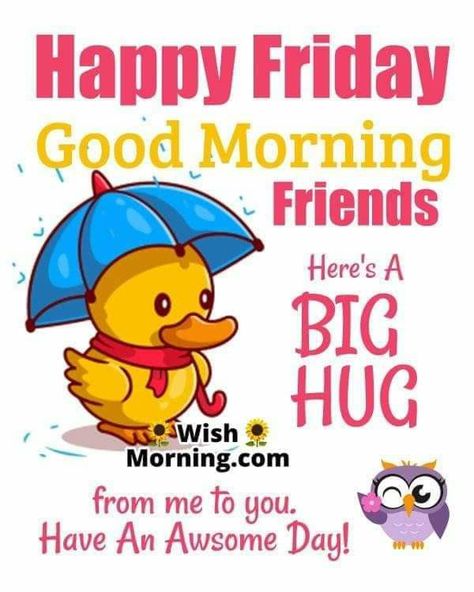 Fantastic Friday Quotes, Friday Good Morning Images, Friday Hugs, Friday Good Morning, Fantastic Friday, Funny Friday, Have An Awesome Day, Morning Memes, Good Morning Friday