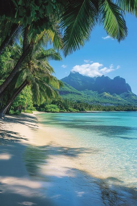 Escape to the exotic beauty of the Indian Ocean's islands. 🌍✨ From the serene beaches of Mauritius to the luxurious resorts of the Seychelles and the vibrant reefs of the Maldives, find your perfect paradise. 🏝️💙 #IndianOceanIslands #TropicalEscape #IslandParadise #BeachGetaway🏝️🌍✨ #IndianOceanIslands #BeachGetaway #IslandEscape Mauritius Beach, Beautiful Beaches Paradise, Summer Beach Pictures, Mauritius Island, Maldives Beach, Beautiful Scenery Pictures, Exotic Beaches, Ocean Pictures, The Maldives