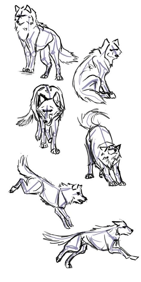 Drawing Wolf, Wolf Poses, Wolf Sketch, Couple Drawing, Drawing Eyes, 강아지 그림, Wolf Drawing, Drawing Faces, Animal Sketches