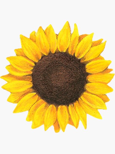 Watercolor Sunflower Tattoo, Sunflower Drawing, Sunflower Tattoos, Sunflower Tattoo Design, Sunflower Tattoo, Plant Drawing, Watercolor Sunflower, Yellow Sunflower, Trendy Tattoos