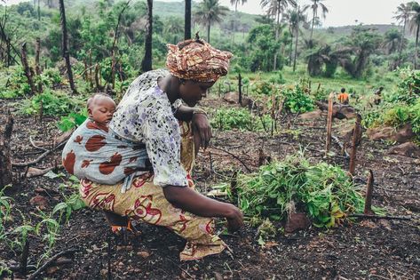 What Is Subsistence Farming? - Earthpedia - Earth.com Save Soil, Unmarried Couples, Gardening In Containers, Infant Development, Mosquito Repelling, Catholic Doctrine, Assisted Reproductive Technology, Surrogate Mother, Mosquito Repelling Plants