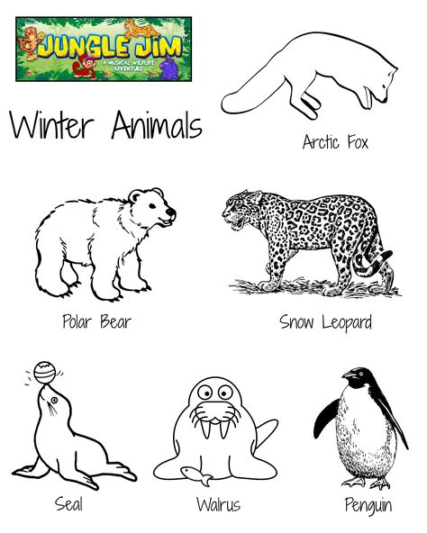 Winter Animal Free Printable Coloring Page with lots of cute winter animals. #JungleJim #winter #printable #freeprintable #free #coloringpage #preschool #homeschool #kindergarten #coloring #animals #winter #winteranimals Winter Animals Preschool, Coloring Pictures Of Animals, Animals In Winter, Animals That Hibernate, Coloring Pages Winter, Animal Worksheets, Preschool Coloring Pages, Polar Animals, Coloring Images