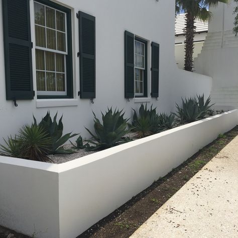 Stucco planter Stucco Retaining Wall Backyard, Stucco Outdoor Wall, Stucco Flower Bed, Stucco House Landscaping Ideas, Stucco Retaining Wall Ideas, Stucco Planter Boxes, Diy Stucco Exterior Walls, White Stucco House Landscaping, Smooth Stucco Retaining Wall