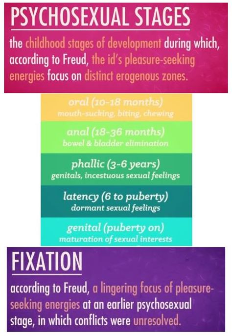 psychosexual stages, crash course psychology Psychosexual Stages Of Development, Psychosexual Stages, Psychology 101, Nursing Cheat, Stages Of Development, Science Rules, Nursing School Survival, Counseling Psychology, School Survival