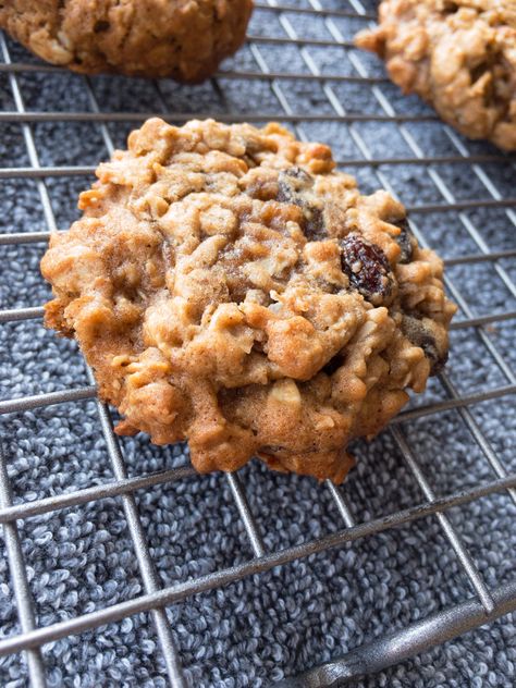 These are a two in one healthy recipe. with reduced sugar and butter, this is the best recipe you will find out there! Chocolate Cherry Oatmeal, Cherry Oatmeal Cookies, Cherry Cookies Recipes, Chocolate Goodies, Cherry Oatmeal, Chewy Oatmeal Cookies, Chocolate Cherry Cookies, Oatmeal Raisin Cookies Chewy, Chocolate Oatmeal Cookies