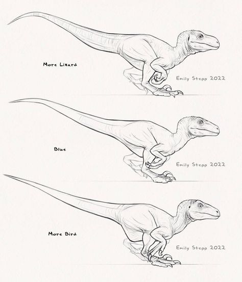 Jurassic World Raptors, Dino Drawing, Raptor Dinosaur, Dinosaur Sketch, Dinosaur Images, Dinosaur Drawing, Blue Lizard, Dinosaur Illustration, Jurassic World Dinosaurs