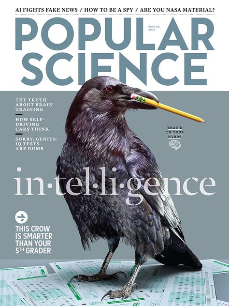 Popular Science Spring 2018 Newspaper Ideas, Popular Science Magazine, Spring Science, Magazine Design Cover, Promo Flyer, Science Magazine, New York Times Magazine, Magazine Cover Design, Popular Science