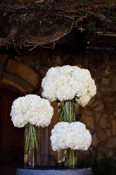 Simple Hydrangea centerpieces. Hydrangea come in lots of colors, and a ribbon around the vase would really jazz it up! Deco Champetre, Hydrangea Centerpiece, Deco Floral, White Hydrangea, White Party, Here Comes The Bride, Wedding Flower, Wedding Bells, Future Wedding