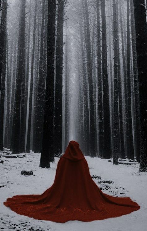 Hooded Person, Playlist Photos, Witcher Wallpaper, Red Ridding Hood, Photographie Portrait Inspiration, Throne Of Glass Series, 다크 판타지, Fantasy Aesthetic, Throne Of Glass