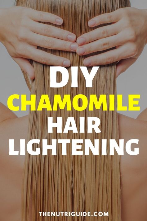 Chamomile for Hair Lightening (and Hair Benefits)- DIY Tea Hair Recipes Chamomile Tea Benefits Hair, Natural Hair Lightener Blonde, Diy Hair Lightener Brunettes, Chamomile Hair Rinse, Chamomile Tea Hair Lightener, Naturally Lighten Blonde Hair, Natural Hair Lightener For Brunettes, Hair Lightening Mask, Chamomile For Hair