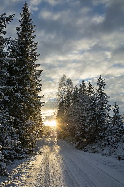 Winter road by Lake Ånøya, just outside Trondheim, Norway. Winter Outside, Snow Outside, Follow The Light, Trondheim Norway, Winter Road, Winter Mornings, Trondheim, Winter Magic, Airbrush Art