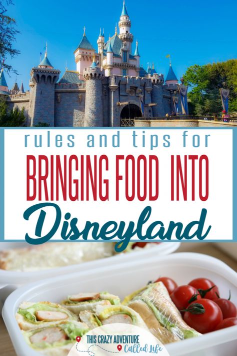 Food Disneyland, Disneyland Souvenirs, Disneyland Snacks, Disneyland Vacation Planning, The Best Snacks, Disneyland Secrets, Disneyland Planning, Best Snacks, Disneyland Food