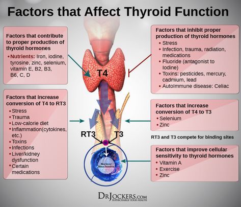 Tomato Nutrition, Fruit Health Benefits, Lemon Benefits, Coconut Health Benefits, Stomach Ulcers, Thyroid Function, Benefits Of Coconut Oil, Thyroid Hormone, Thyroid Health