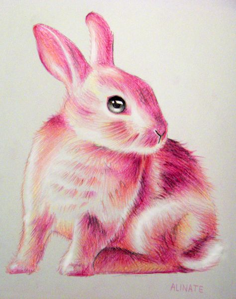 Petit Lapin, Little bunny made with colored pencil #bunny #rabbit #bun #animal #pink #colored pencil #cute bunny #french art #french artist #little bunny #realistic art #alinate #alinateart #art #artist on tumblr #crayonde couleur #lapin #conejo #brightcolors #kawaii #drawing #lapin Bunny Drawing Colored Pencil, Colored Pencil Drawing Animals, Bunny Drawing Realistic, Pencil Drawings Ideas, Drawing Bunny, Bunny Drawings, Color Pencil Drawings, Shell Drawing, Rabbit Face