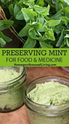 Preserving Mint, Making Tinctures, Preserve Fresh Herbs, Herbal Remedies Recipes, Preserving Herbs, Foraging Recipes, Medicinal Herbs Garden, Medical Herbs, Seasonal Living