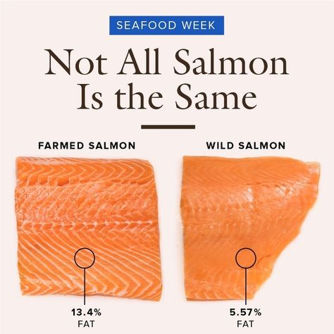 Pescetarian Meals, Fish Nutrition Facts, Sea Foods, Recipes Salmon, Anti Inflamatory, Salmon Farming, Culinary Techniques, Healthy Food Facts, Wild Salmon